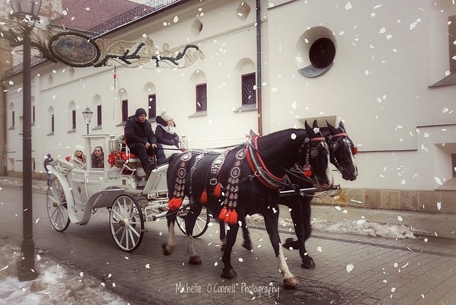 Carriage Rides_ Kraków