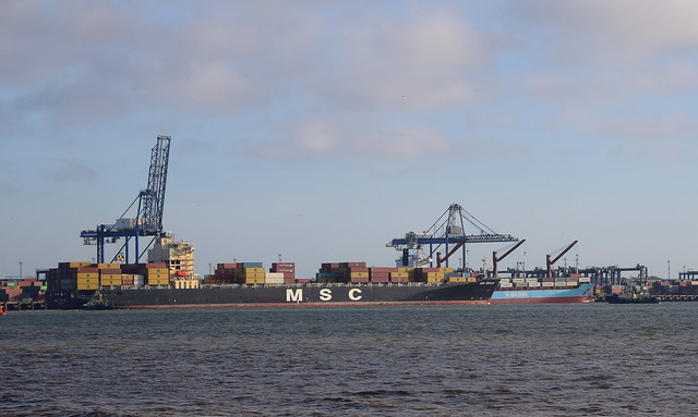 MSC Poh Lin, on Felixstowe's Trinity No.5, having arrived the previous afternoon from L' Havre, breaking away for Bremerhaven, with assistance from Svitzer Forward and Sky aft. 17 12 2023