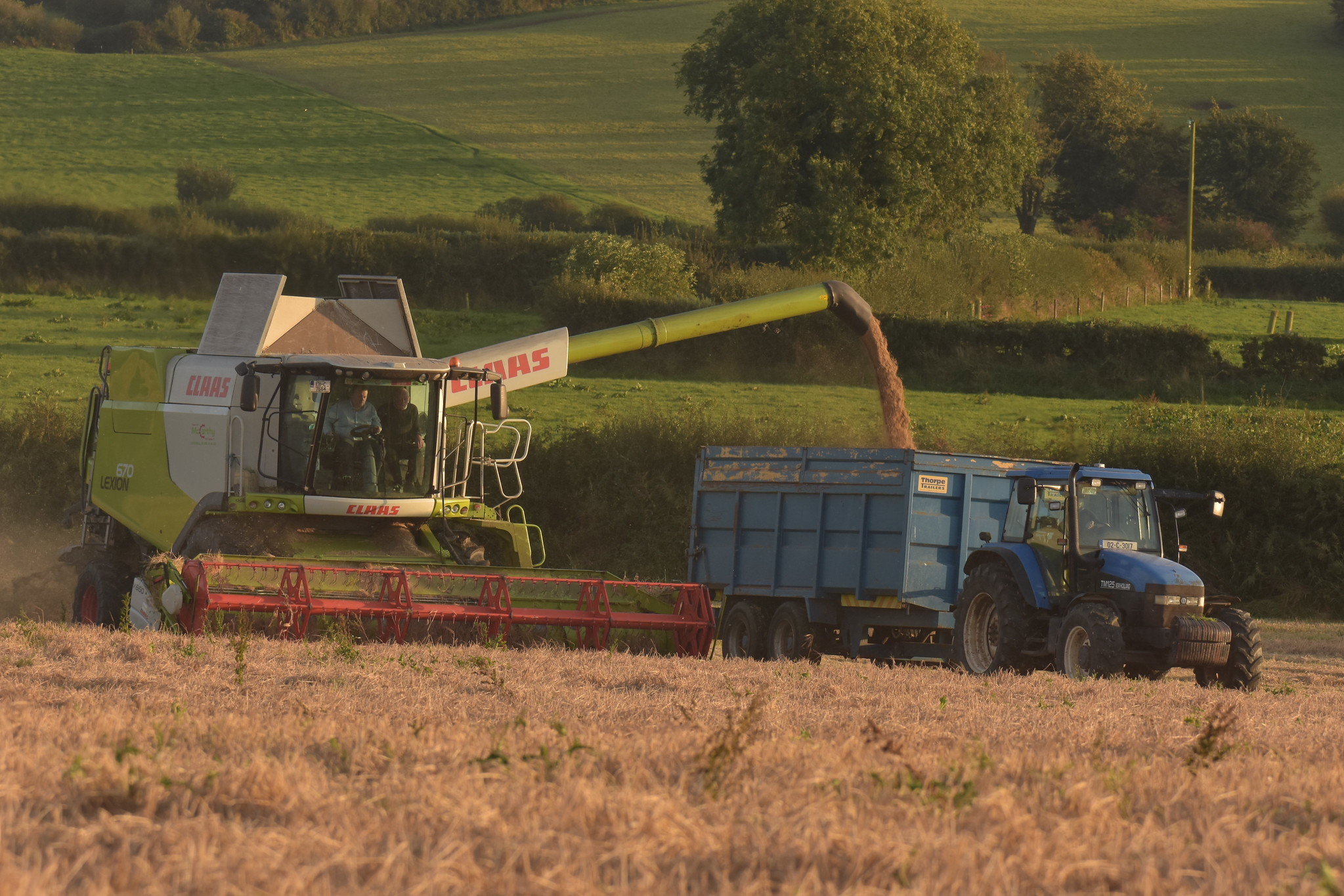 Claas Lexion 670 Combine Harvester unloading Spring Barley to a Thorpe Grain Trailer drawn by a New Holland TM125 Tractor