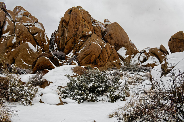 Feels So Good to See Snow in Joshua Tree National Park