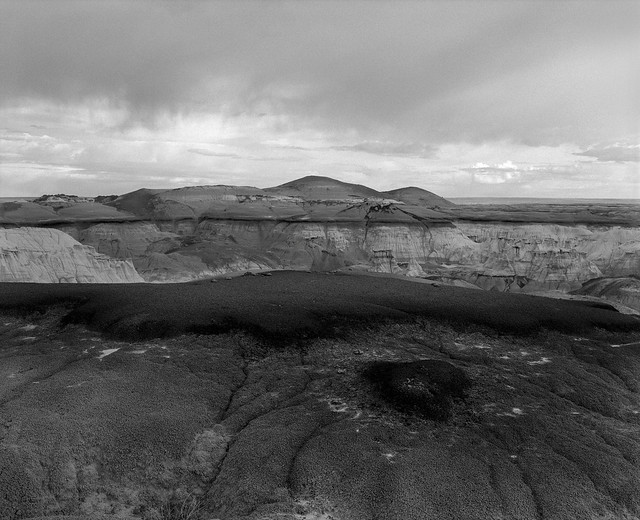 In the Bisti Badlands, New Mexico