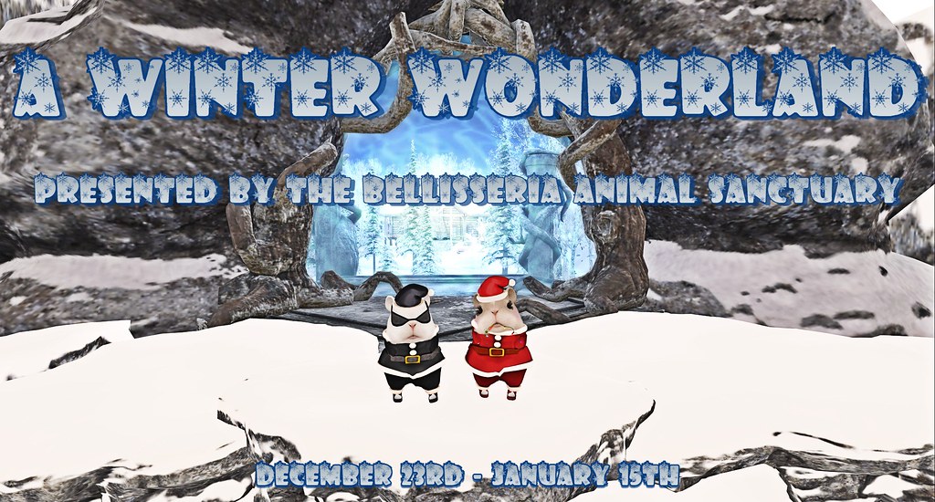 Winter Wonderland Invitation