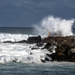 Danger! Ho&#039;okipa Point Beach Park, Paia, Hawaii - I don&#039;t know why this woman was down on these rocks with the waves crashing in, but I suspect if she continues there will be another white cross to join the others.