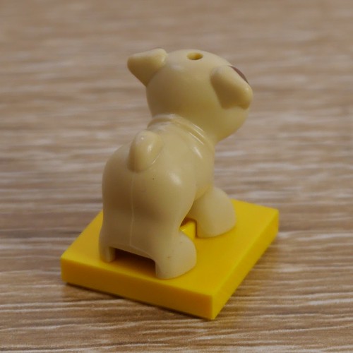 Puppy, Rear (LEGO Friends Advent 2023 Day 18)