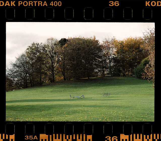Autumn in Kodak Portra XIX