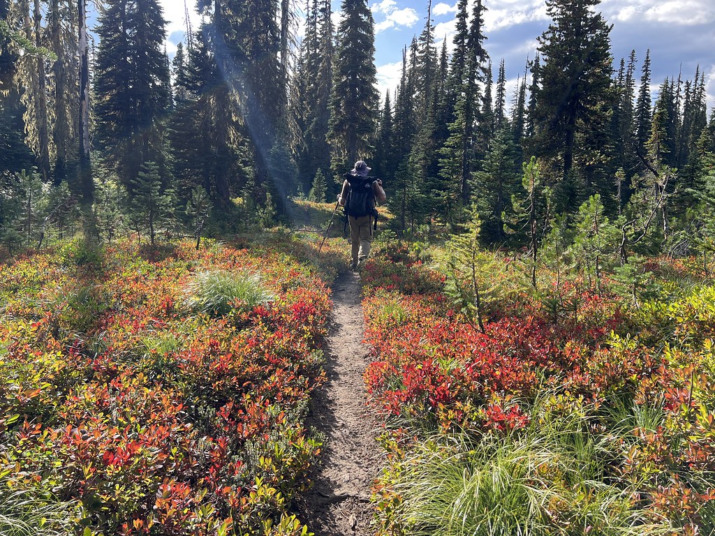 Backpacking in the William O. Douglas Wilderness