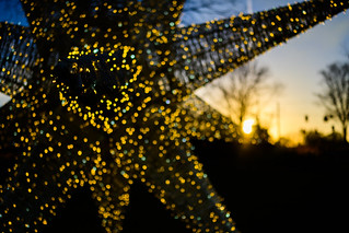 Opelika Library Christmas Decorations