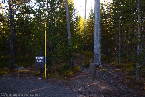 The very unassuming Riddle Lake Trailhead, Yellowstone National Park, Wyoming
