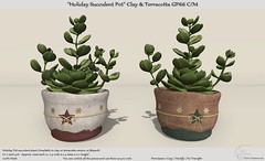 .:Tm:.Creation "Holiday Succulent Pot" Clay & Terracotta GP66