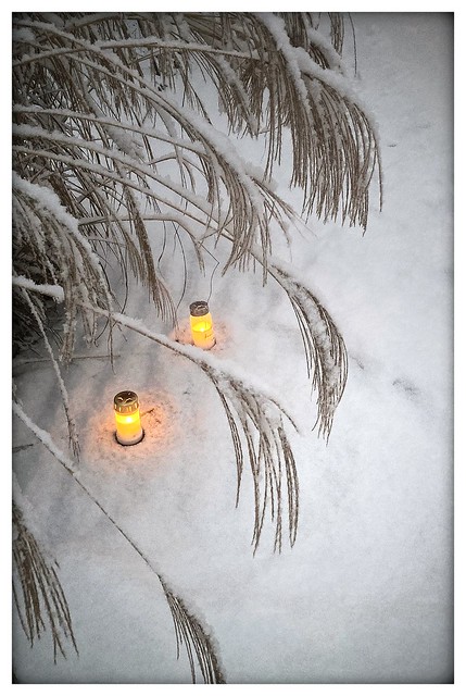 Candels  in snow