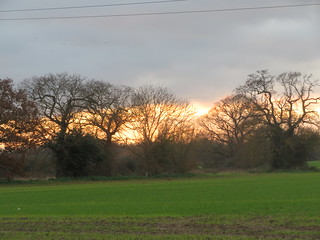 UK - Essex - Near Rochford - Sunset near Stambridge Mills