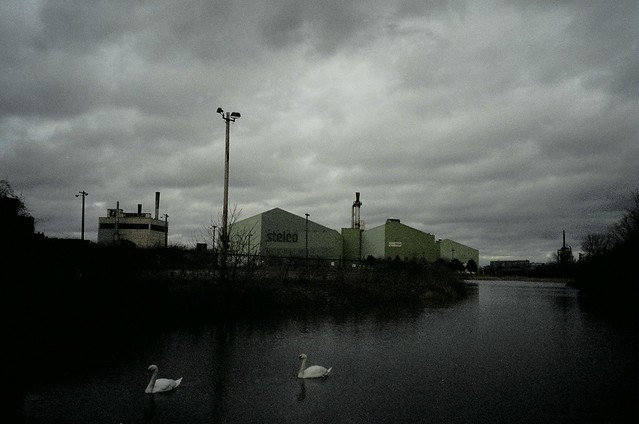 Swans + Stelco