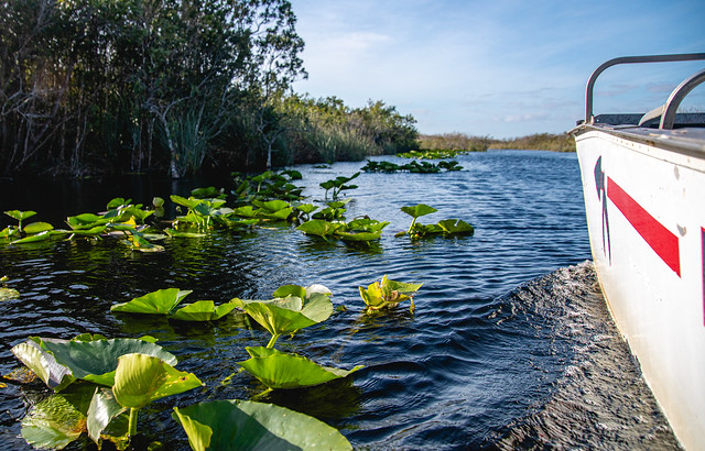 Visit the Everglades on a program