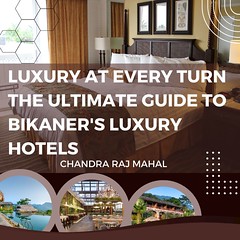 Luxury at Every Turn: The Ultimate Guide to Bikaner's Luxury Hotels