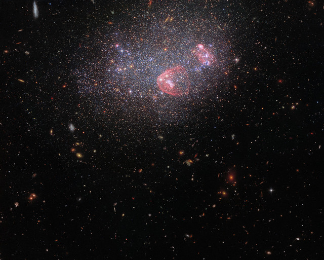 Dwarf irregular galaxy UGC 8091