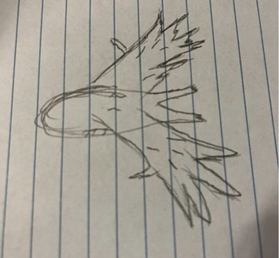 Drawing of unknown creature in Rockford, Illinois 