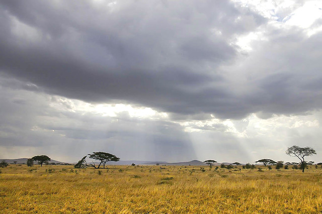 Storm on the Serengeti