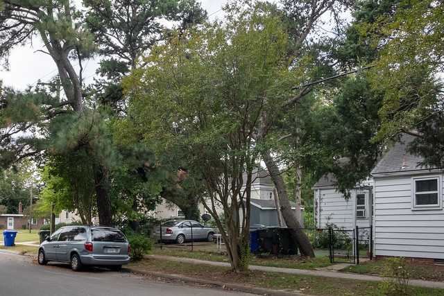 Trees and cars and houses of a neighborhood in October in Norfolk, Virginia.