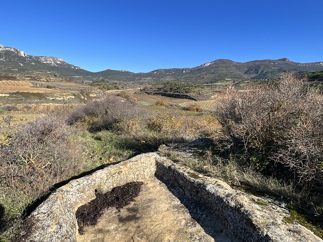 Lagar rupestre en San Martín de Pangua (San Vicente de la Sonsierra, La Rioja)