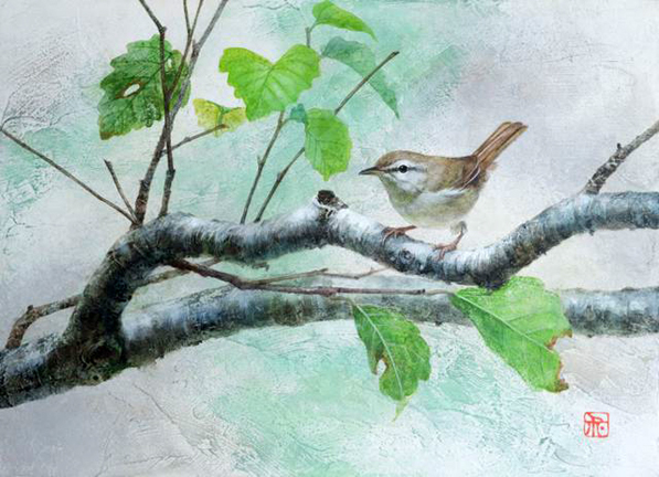 Japanese bush-warbler