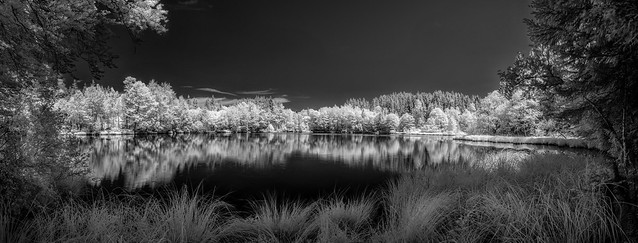 Silent reflection (720nm infrared)