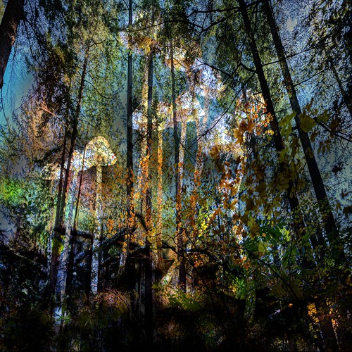 Double Exposure | by Don White (Burnaby)