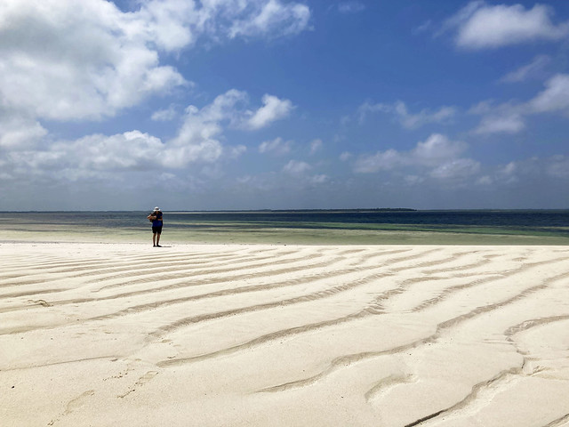 marée basse Michamvi Zanzibar_7636