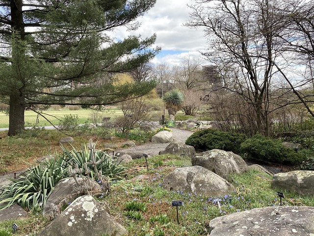 Rock Garden, at the Brooklyn Botanic Garden