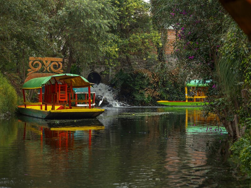 Dday tours from Mexico City - Xochimilco