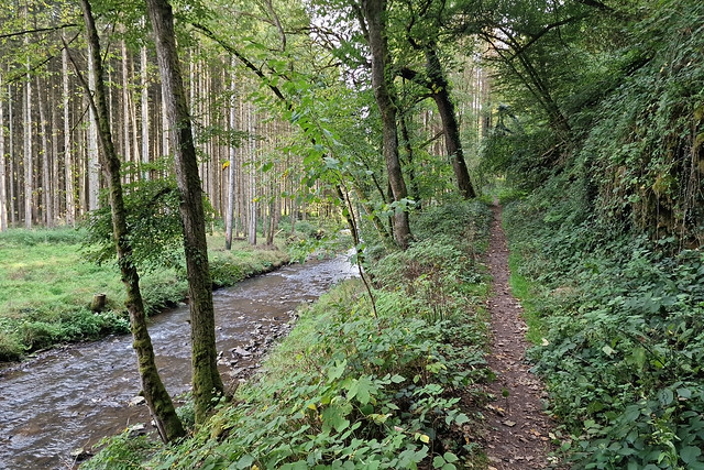 Path along the Salm river near Landscheid