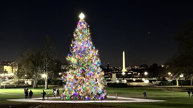 Capitol Christmas Tree 2023