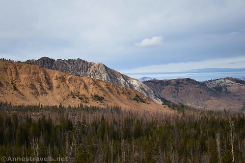 Cliffs across the valley from the Born Lakes Trail, Cecil D. Andrus-White Clouds Wilderness, Sawtooth National Recreation Area, Idaho