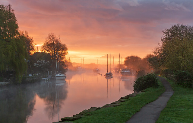 Misty Morning on the Frome