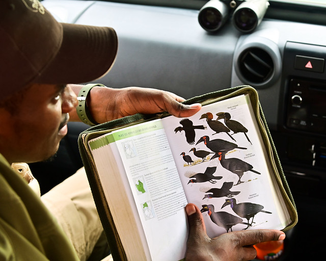 Libro de aves de Tanzania