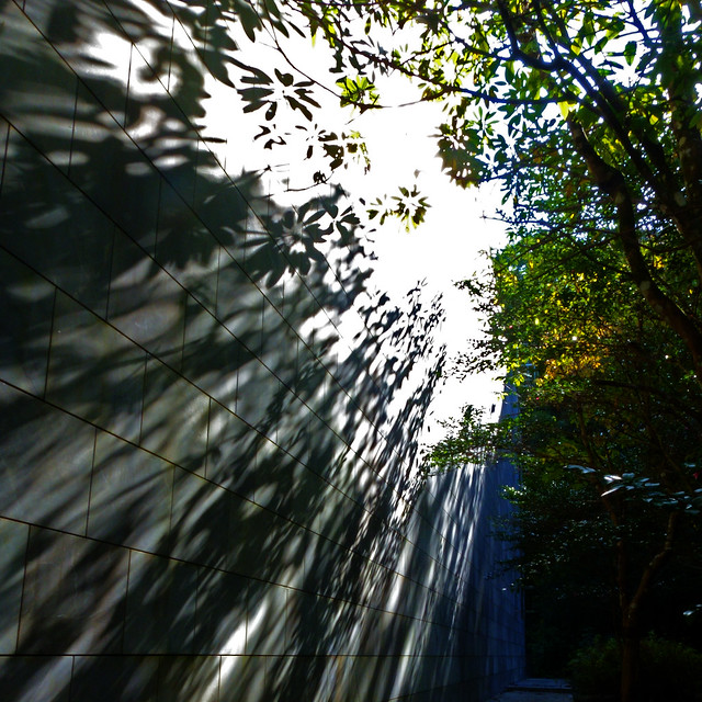 構成=Composition-292／Geometric wall and shadows of leaves-2