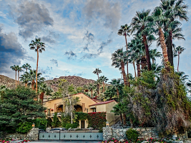 photo - The Willows Inn, Palm Springs