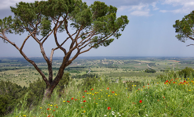 Landscape view from Castel del Monte - Puglia - Italy