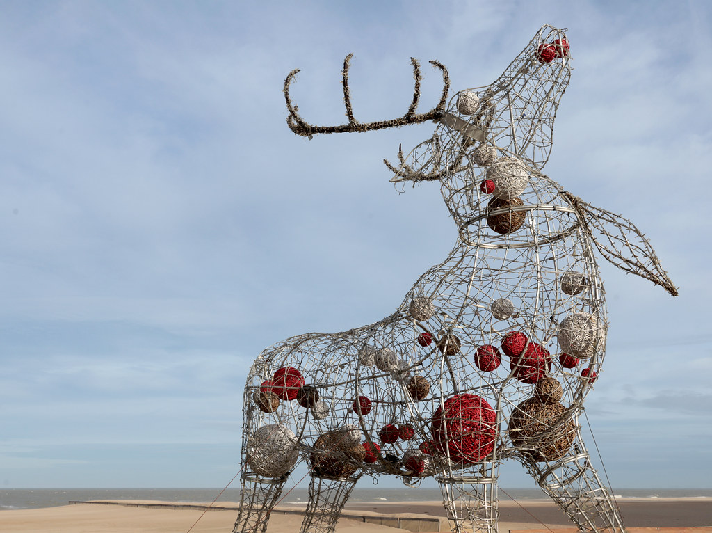 Santa's reindeers arrive from the sea this year ...