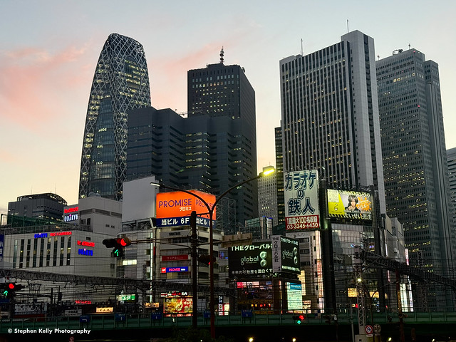 Shinjuku Skyline
