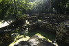 Calakmul, kdysi rezidenční čtvrť, foto: Petr Nejedlý