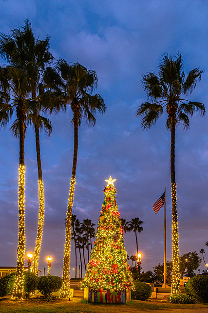 Christmas Tree at Seal Beach Pier