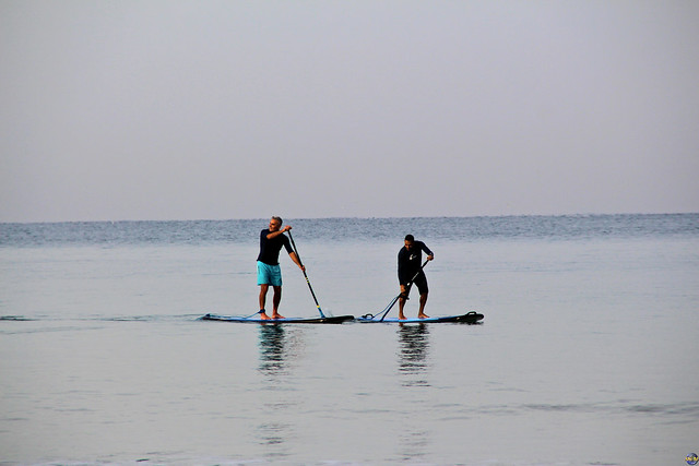 Standup paddle surfing