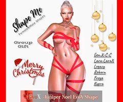 Shape Me - Juniper Noel Head EvoX Shape Group Gift