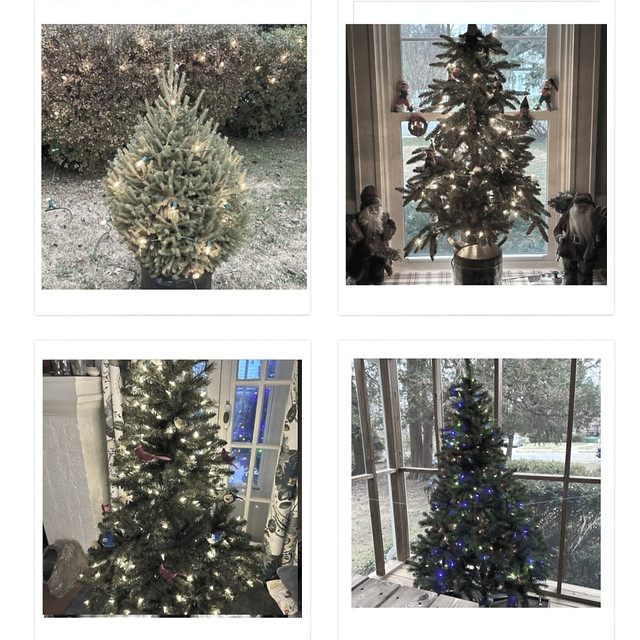 Christmas Tree collection