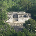 Calakmul, Estructura IV, výhled z Estructury II, foto: Petr Nejedlý
