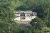 Calakmul, Estructura IV, výhled z Estructury II, foto: Petr Nejedlý