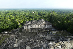 Calakmul: Uprostřed džungle na nejvyšší pyramidě mexického Yucatanu