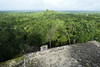 Calakmul, výhled z Estructury I, uprostřed špička Estructury II, vpravo vykukuje Estructura IV, foto: Petr Nejedlý