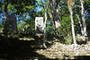 Calakmul, Estructura VI, foto: Petr Nejedlý