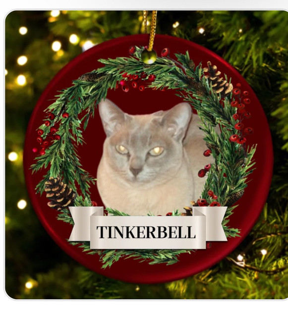 First Christmas in 21 years without Tinkerbell